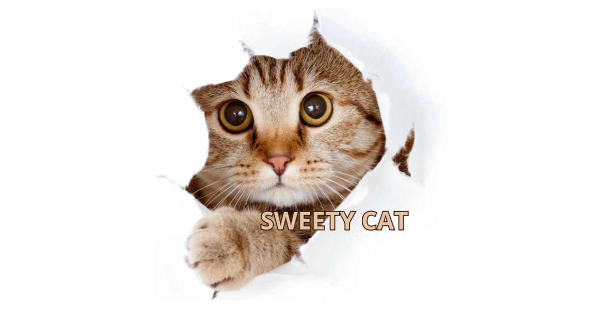 SWEETY CAT DANCE
